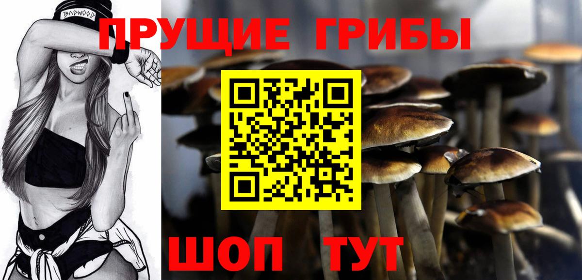 Галлюциногенные грибы Magic Shrooms  Вход с VPN  Нефтекумск  Галлюциногенные грибы Psilocybine cubensis 