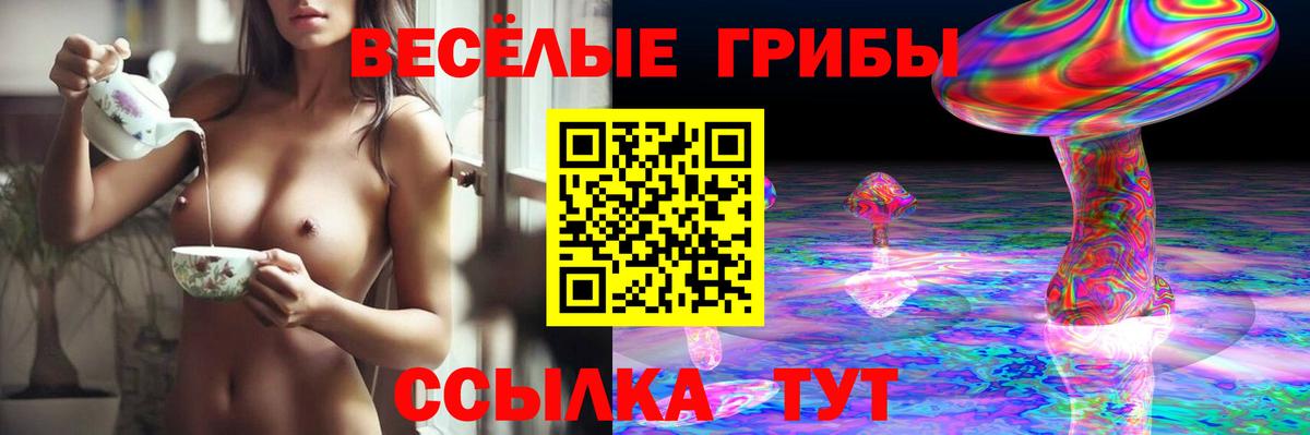 Псилоцибиновые грибы мухоморы Нефтекумск