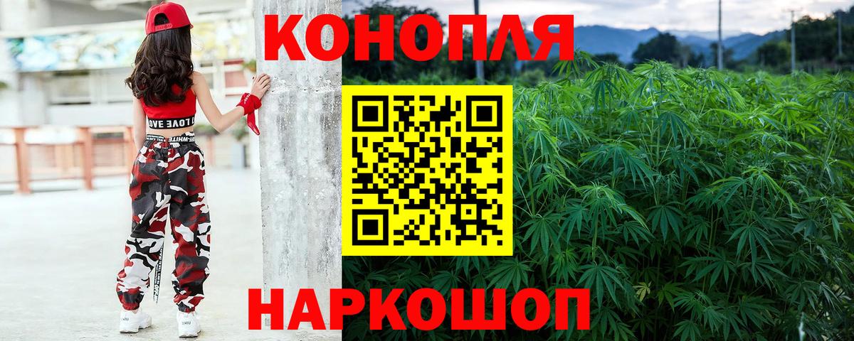 Бошки марихуана сатива Нефтекумск